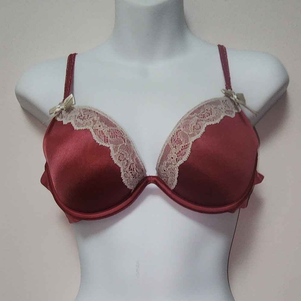 Aerie Rose Color Underwire Push Up Bra 36B
